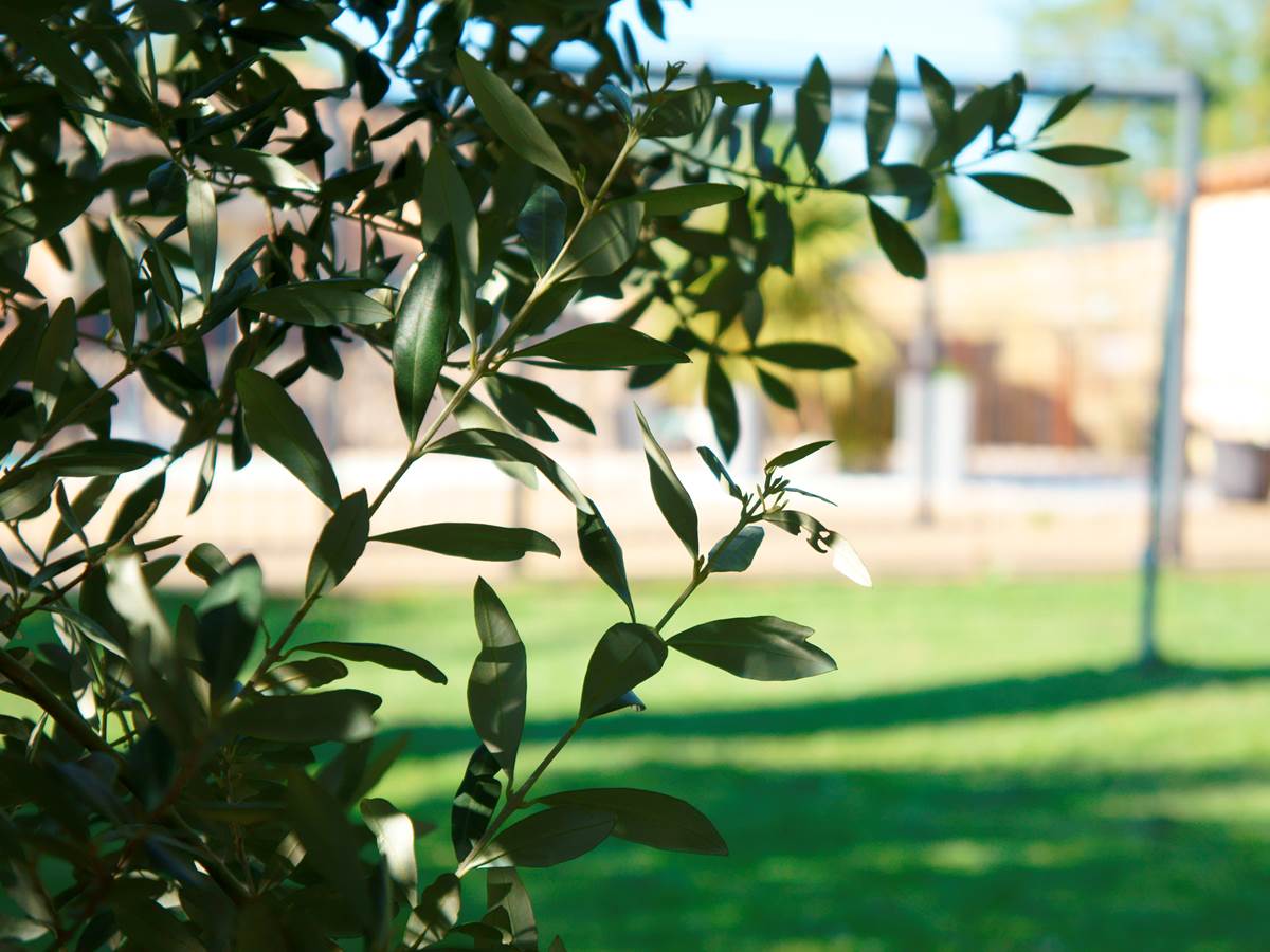 jardin residence les peupliers