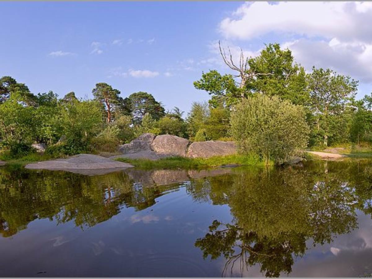 Album - Foret-de-Fontainebleau - Notre Terre