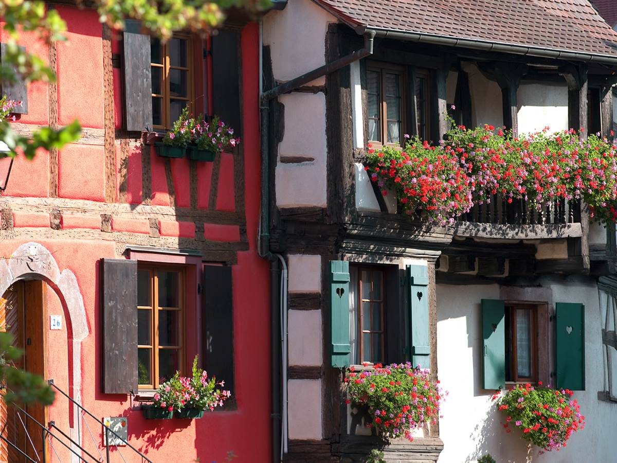 Maisons à colombages et façades colorées typiques d'Eguisheim