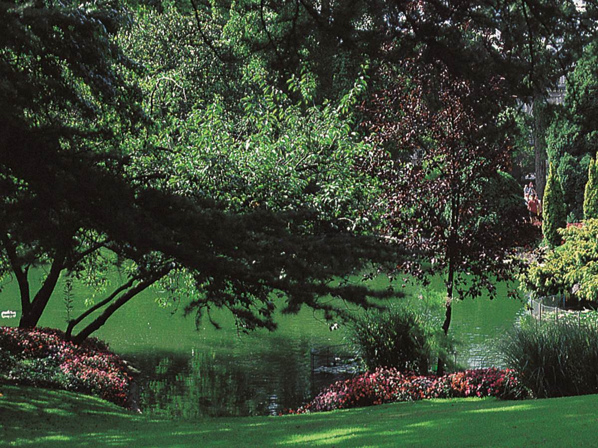 Jardin des plantes d’Angers