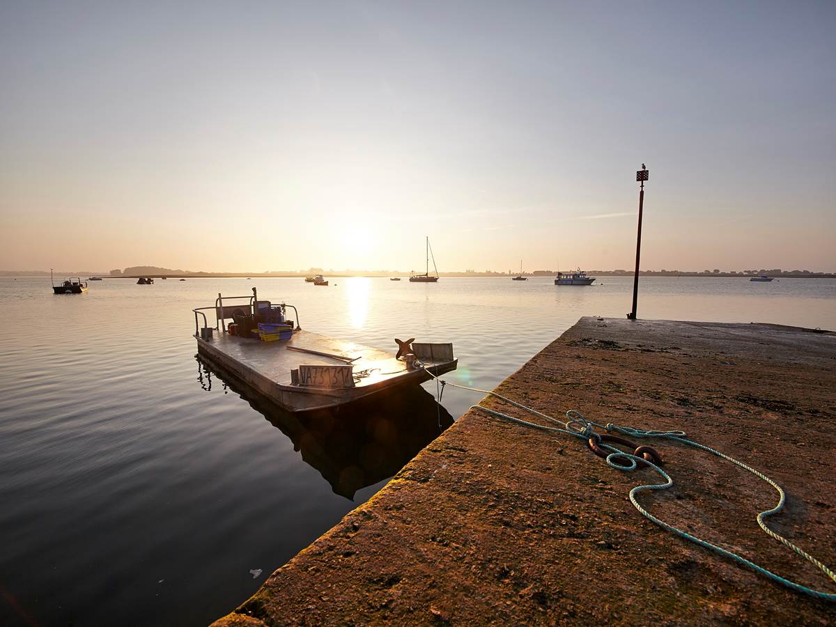 Rhuys2013_MG_5603