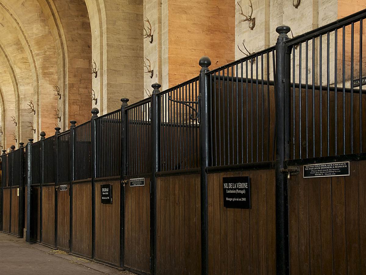 Stalles (musée vivant cheval, Chantilly)