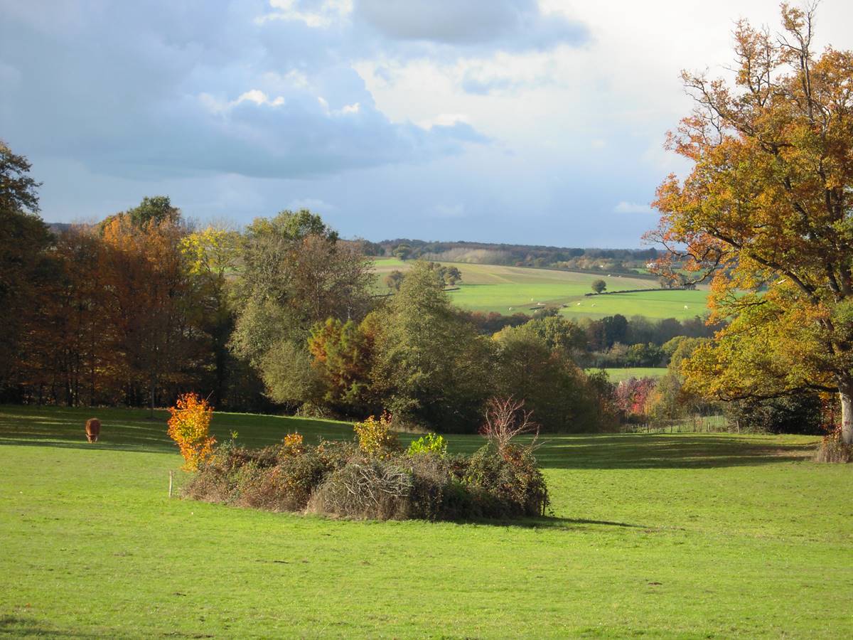 Le Parc et la campagne autour