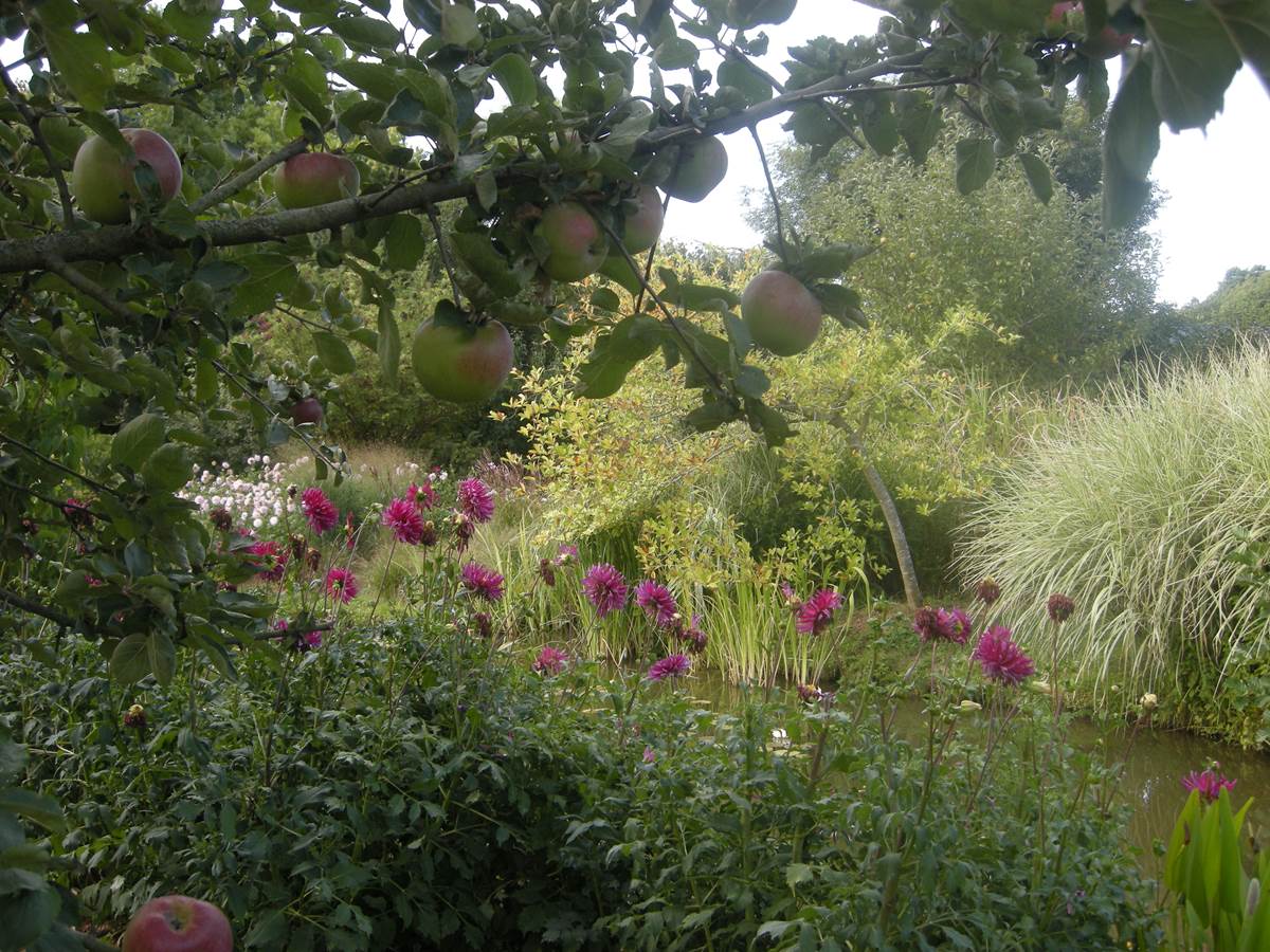 Jardin du peintre André van Beek
