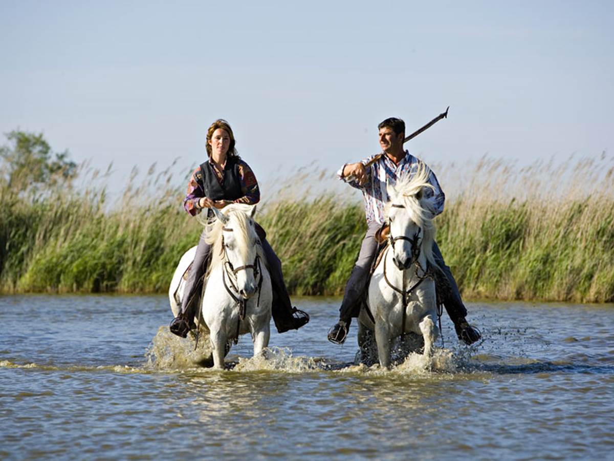 Balade équestre en Camargue
