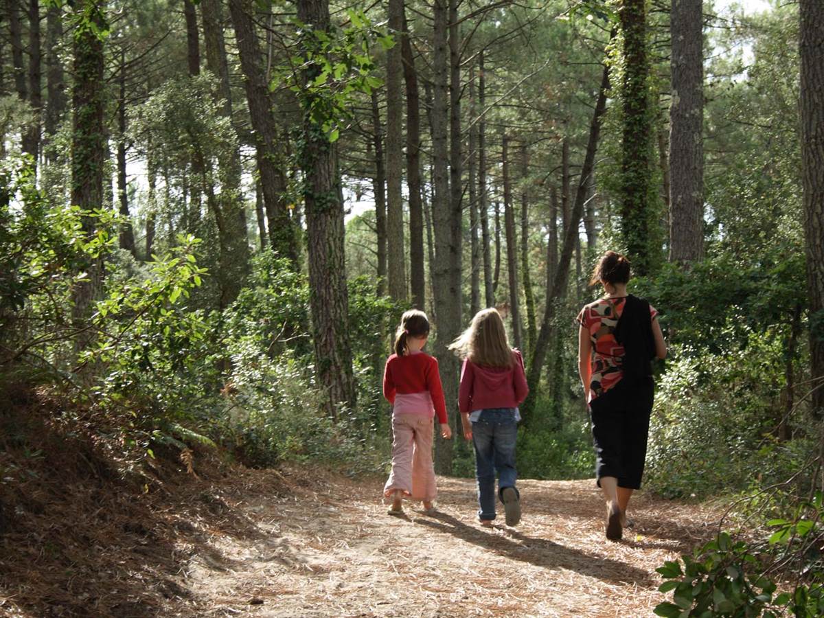Chemin en forêt à Moliets-et-Maa Arewen