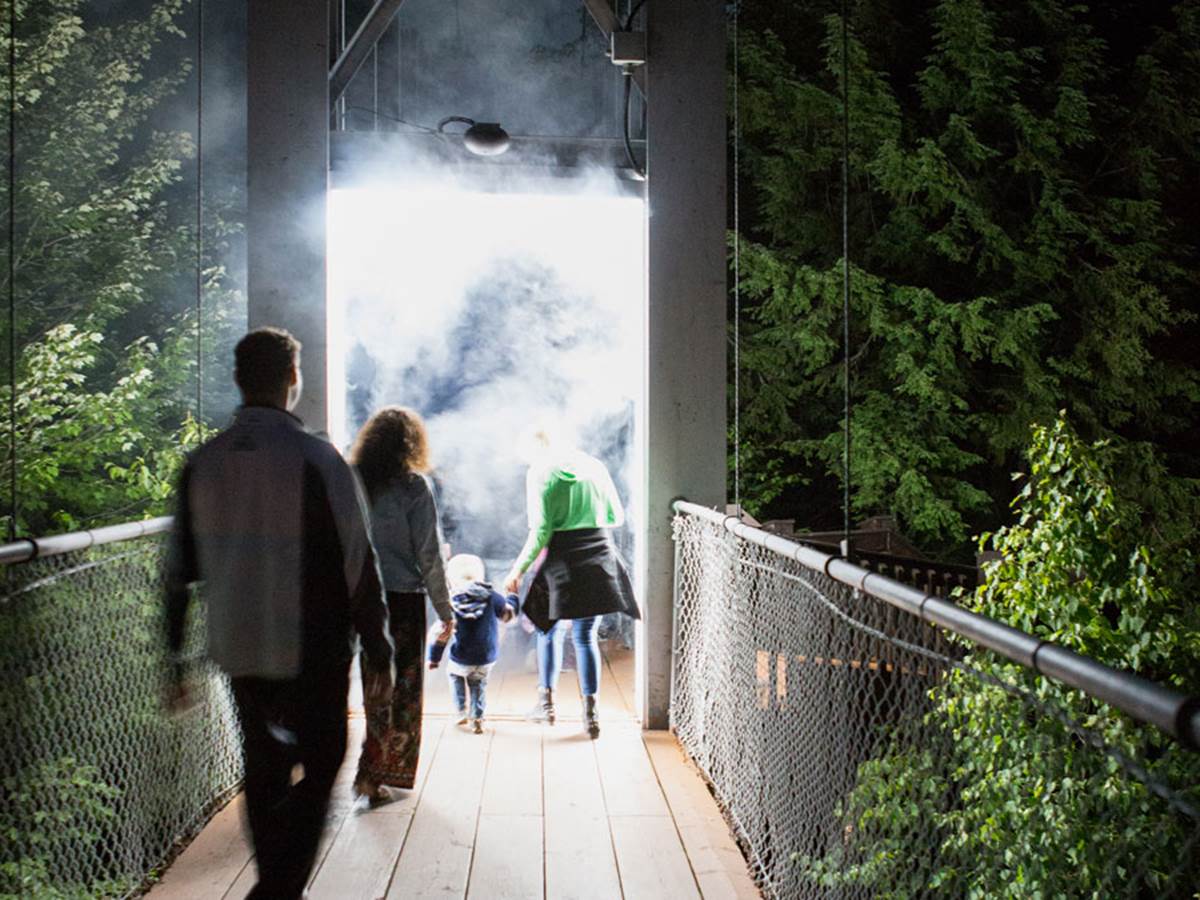 Foresta-Lumina-Galerie-21