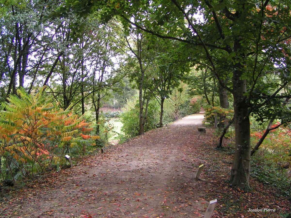 Arboretum du Chemin de la découverte