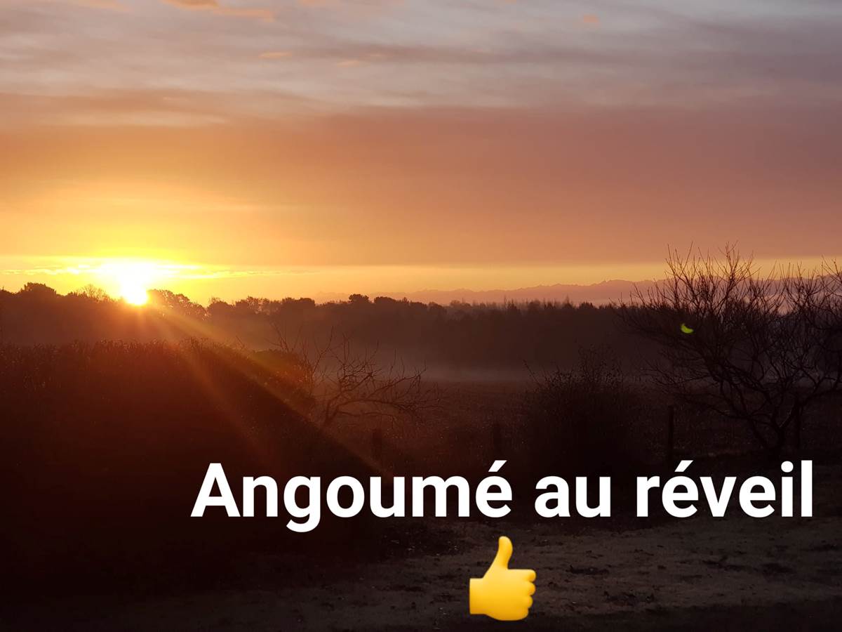 Angoumé au réveil