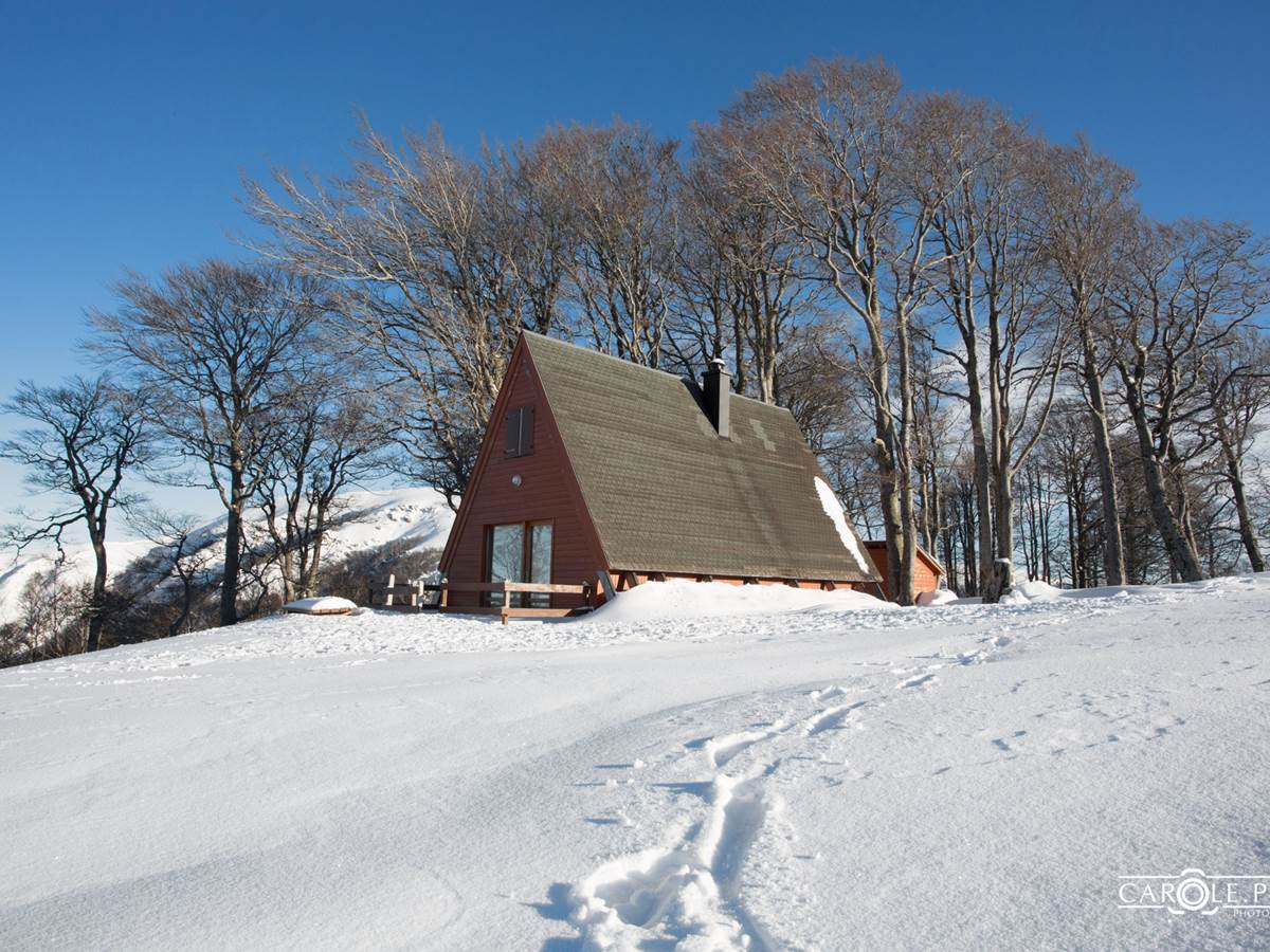 le chalet en bois Delta V1 en hiver