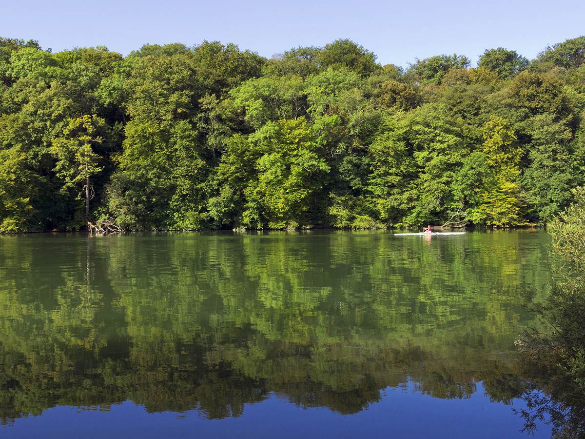 Forêt de Fontainebleau