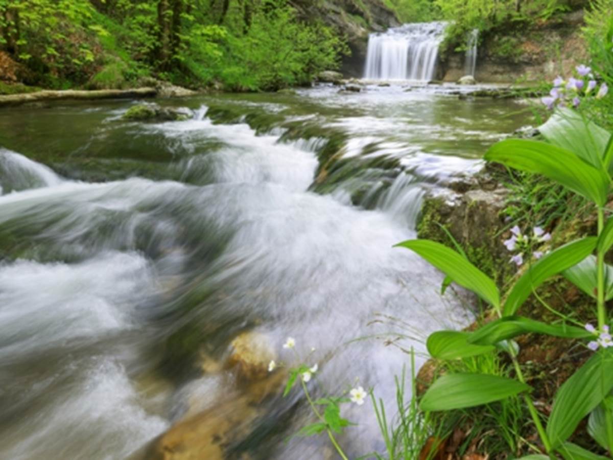 La maison des cascades du Hérisson - MENETRUX EN JOUX - Jura Tourisme