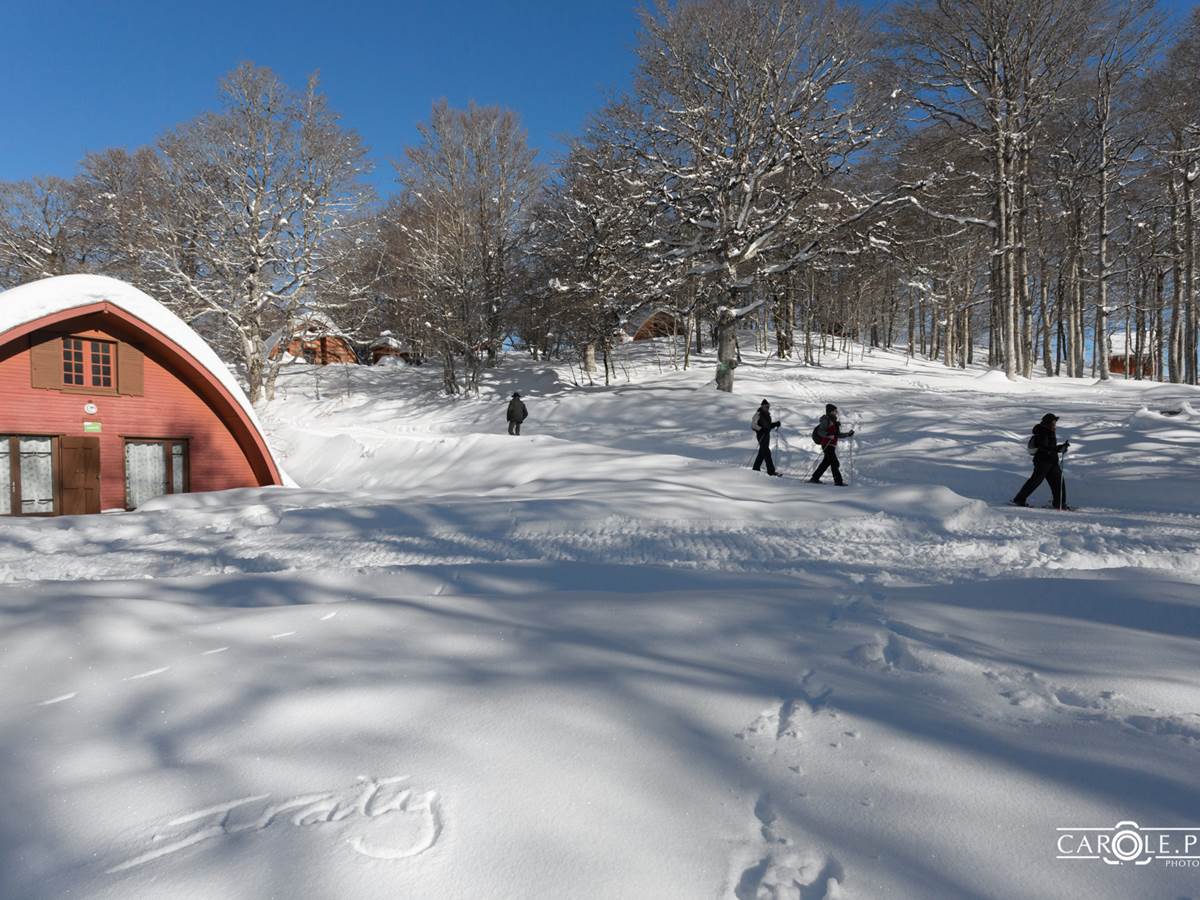 Chalet Gabizo dans la forêt enneigée