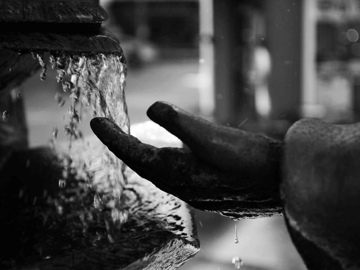 chateau la roche audrey Quoitin 2