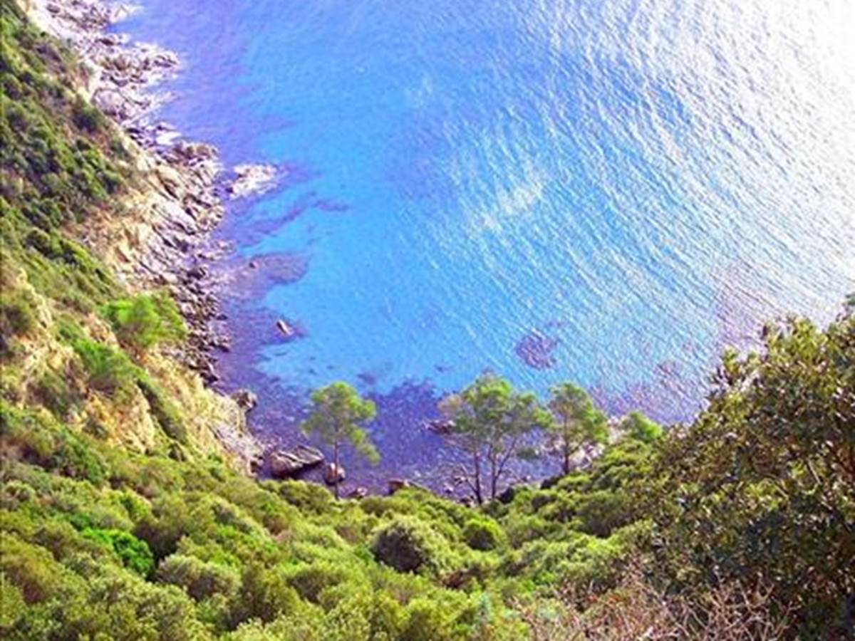 La corniche des Maures et le sentier du Fenouillet