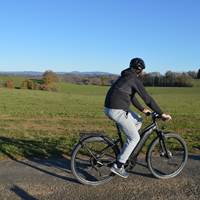 Roue Léo Vert