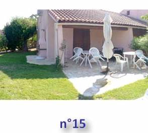 15 VIGNETTE