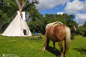 Ee5ZRX8d5rMThD870hIFmITWUSb8ekFJKGIfLbiF