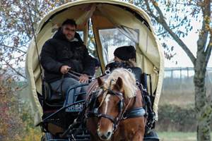 Gaston et la calèche bâchée