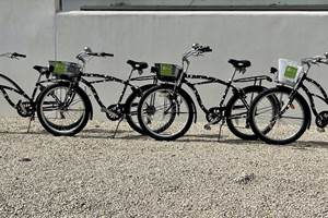 Les ve´los classiques