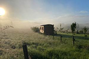 Les terres de la chouette, roulotte dans la brume matinale