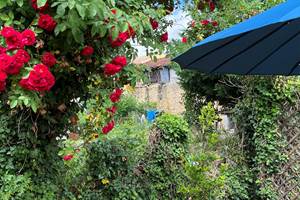 JAZZY-jardin