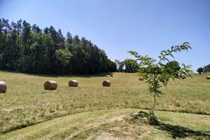 Gîte nid d' étoiles et Jacuzzi