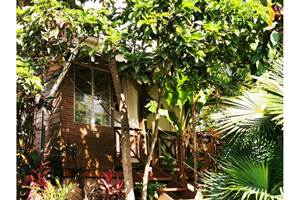 gite-tropical-sainte-anne-guadeloupe