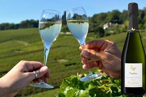 champagne farfelan