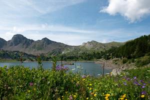 97794514_3062243690508504_6693952529362845696_n