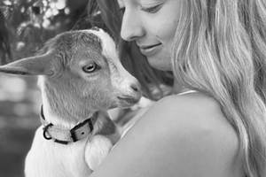 63deb650-1eac-44f9-be8f-f9cb11195a94