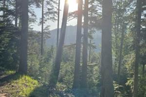 thumbnail_IMG_8881