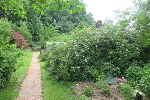 le jardin en été