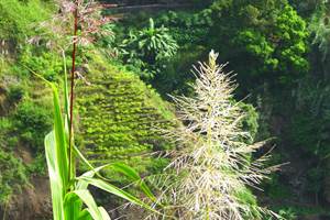 kasa-tambla-hebergement-hotel-ponta-do-sol-santo-antao-cap-vert