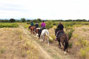 ecurie_sant_jordi_saint-genis-des-fontaines