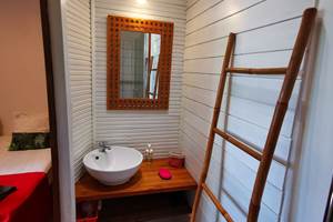 les-jardins-des-balisiers-salle-d-eau-color-nature-antillaise- gite-horizon-balisiers