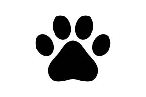 Chien (limité à un par logement)