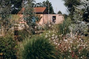 ferme-fleurs-sechees-bio-francaises