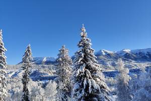 IMG_20201206_091607