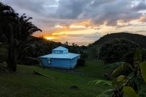 aefeece5-4858-4bce-a6f1-d3043ddbfd4d