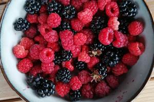 La récolte du jardin en prévision de bonnes gelées de fruits