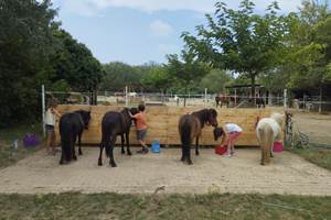 balade à poney Pyrénées-Orientales  promenade poney 66  activité enfant Pyrénées-Orientales  poney club 66  centre équestre Pyrénées-Orientales  balade à cheval 66  activité famille Pyrénées-Orientales  équitation enfant 66  balade à poney près de Perpignan  balade à poney bompas, claira, toreilles, barcares, canet en roussillon, sainte marie, Thuir, Pézilla, elne, cabestany, rivesaltes, saint estève