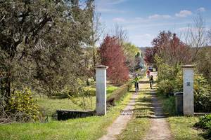Gîte situé à proximité de l’itinéraire Loire à Vélo, parfait pour les cyclistes en séjour en Touraine.