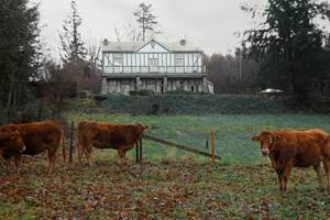 P1050095 - Copie copier