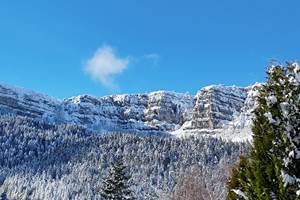 DJI_20241224123055_0240_D