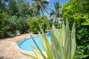 VUE PISCINE DE LA TERRASSE DE L YLANG 1