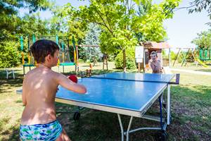 les-chalets-de-fiolles-tarn-gaillac-occitanie-aire-jeux-enfant-ping-pong
