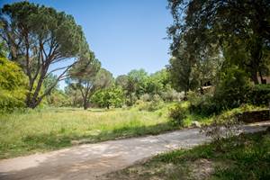 0131_Cocody-2020-05-28 copie