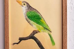 OISEAU4