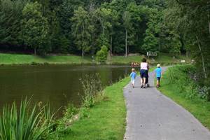 4 kilomètres de promenades accessibles à tous (PMR) , le long des étangs du Domaine